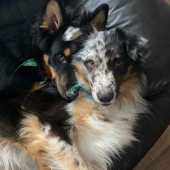 Meet your Posher, Ranyah - Picture 6 of 6